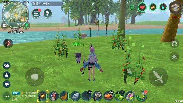 创造与魔法辣椒位置图2022最新