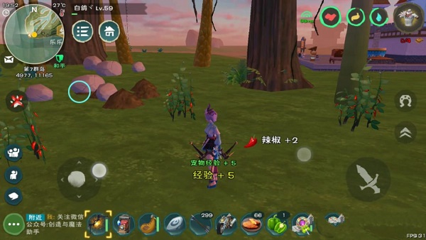 创造与魔法辣椒位置图2022最新