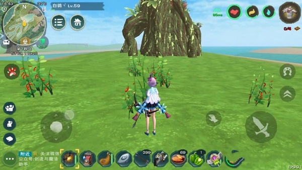 创造与魔法辣椒位置图2022最新