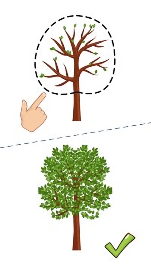 这题太难了截图3