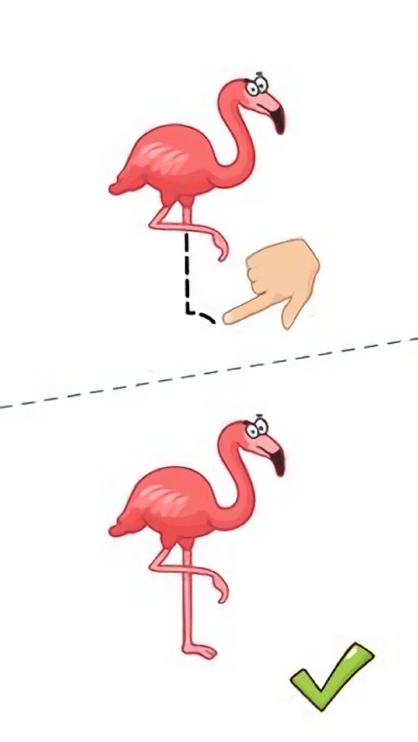 这题太难了截图4