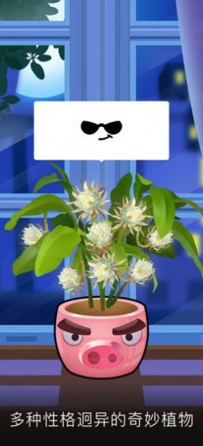 阳光花店赚钱版截图3