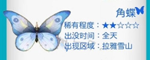 摩尔庄园角蝶位置攻略