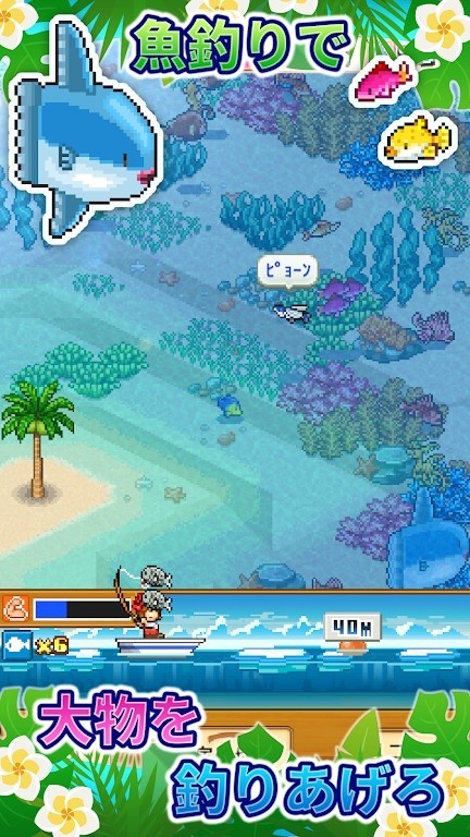 南国度假岛截图1