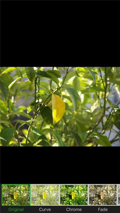 叮当视频编辑截图1