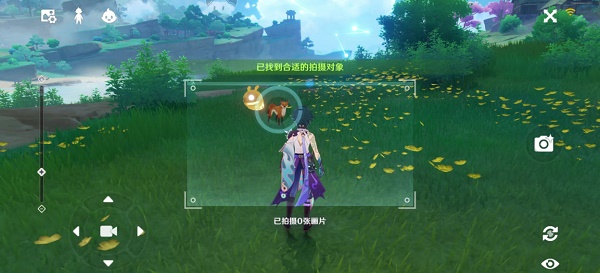 原神稻妻特色动物拍照任务攻略