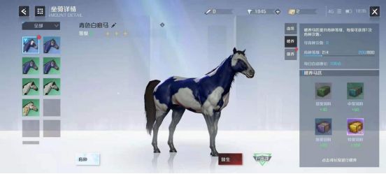 诺亚之心怎么抓野马