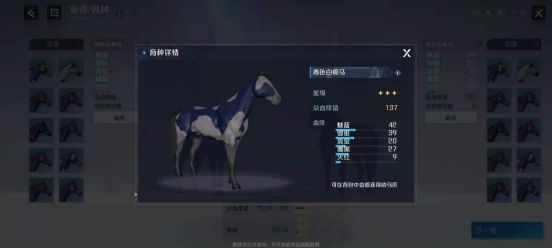 诺亚之心怎么抓野马