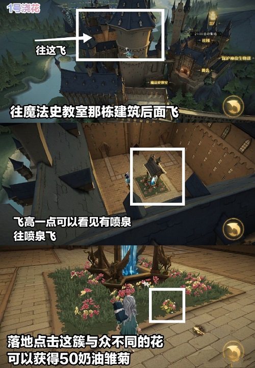 哈利波特魔法觉悟浇花彩蛋攻略
