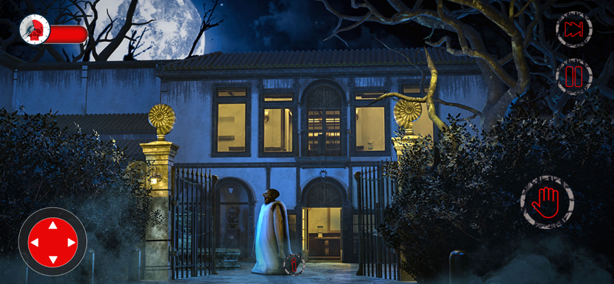 可怕的奶奶尼姑屋3D截图1