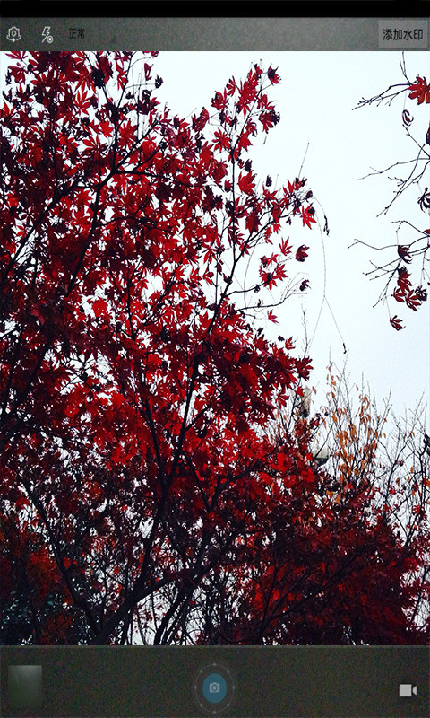 魔力玩图照相机截图3