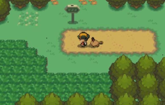 口袋妖怪心金随机版截图3