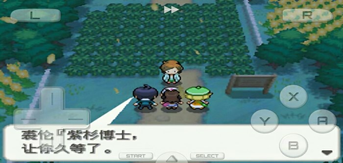 口袋妖怪改版游戏