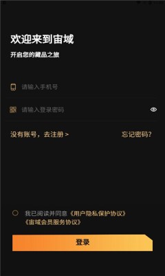 宙域数字藏品截图1