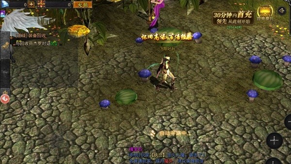 星王传说满攻速截图1