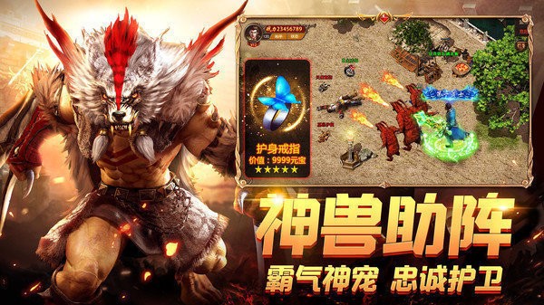 龙卫合击传奇截图3