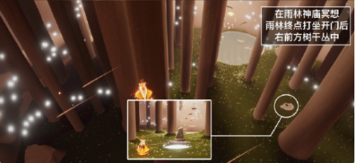 光遇6.23每日任务攻略2022