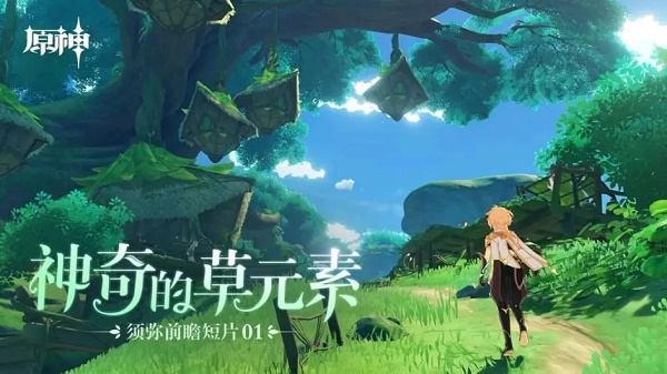 原神须弥角色爆料