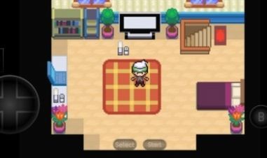 口袋妖怪赛义夫截图2