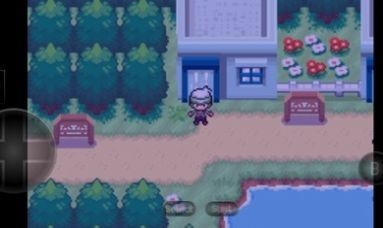 口袋妖怪赛义夫截图1