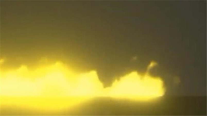 甜瓜游乐场冰火人皮肤截图3