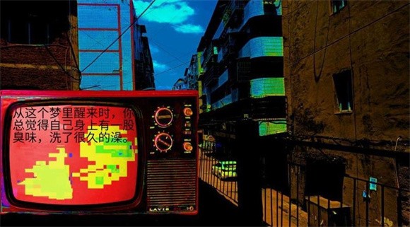 变成鸟的那一天截图4