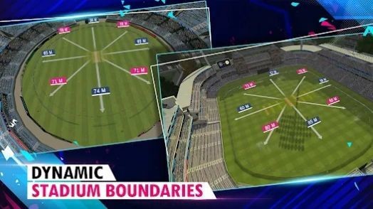 真实板球22截图3