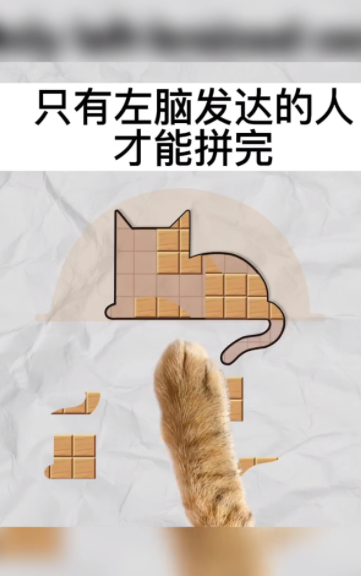 今晚来拼板截图1