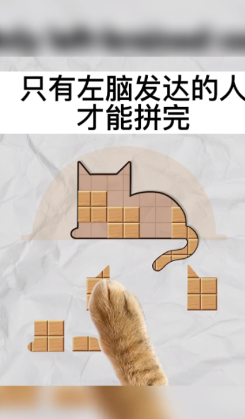 今晚来拼板截图3