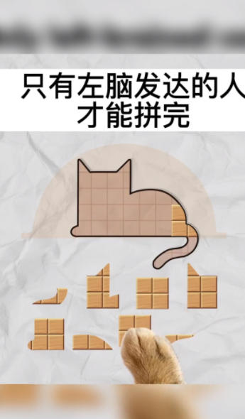 今晚来拼板截图2