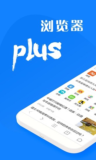 浏览器plus截图1