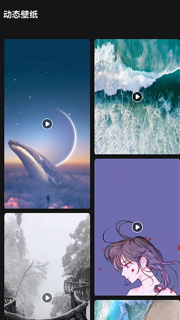 lr壁纸大全截图2