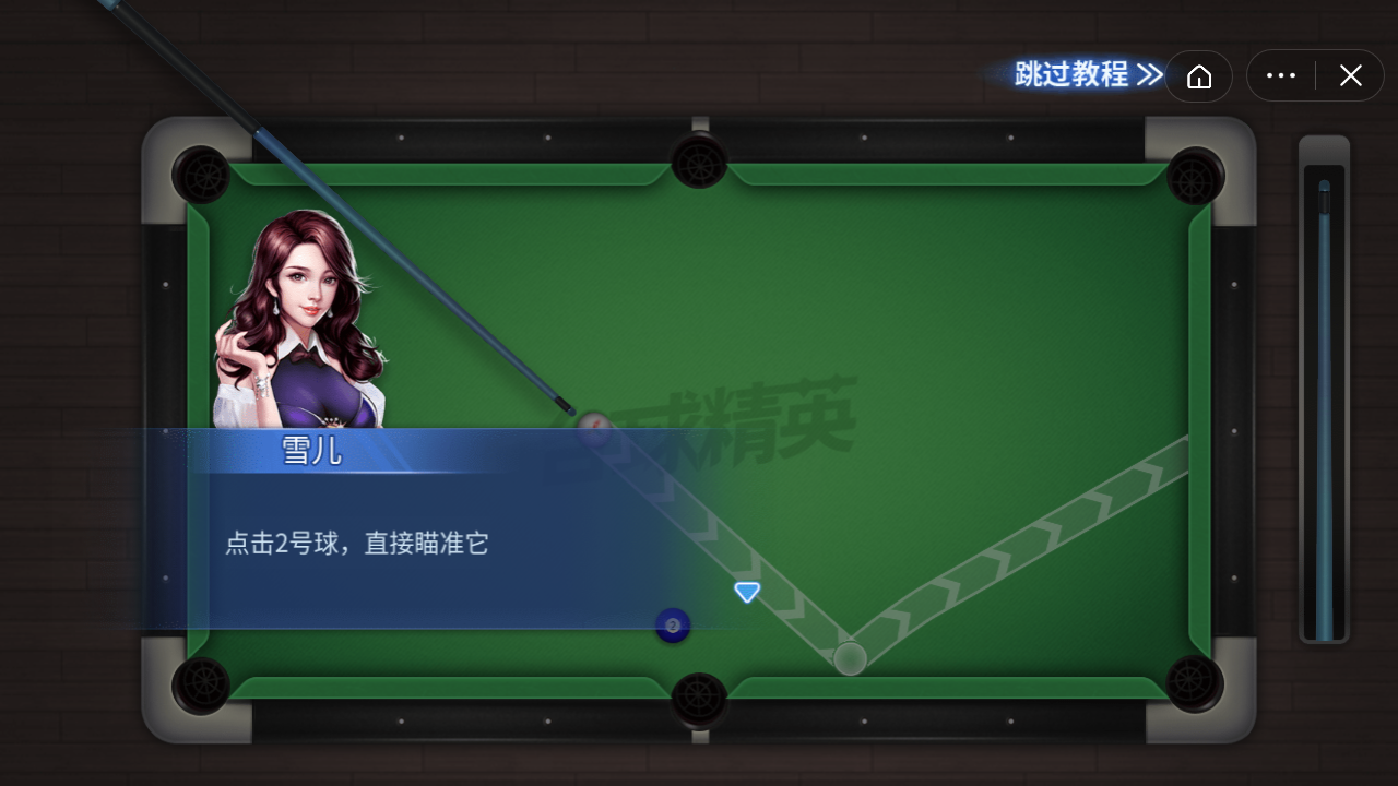 台球精英截图1