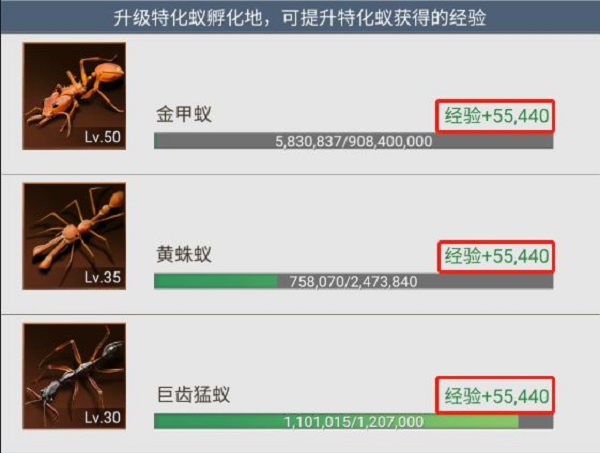 小小蚁国特化蚁怎么升级