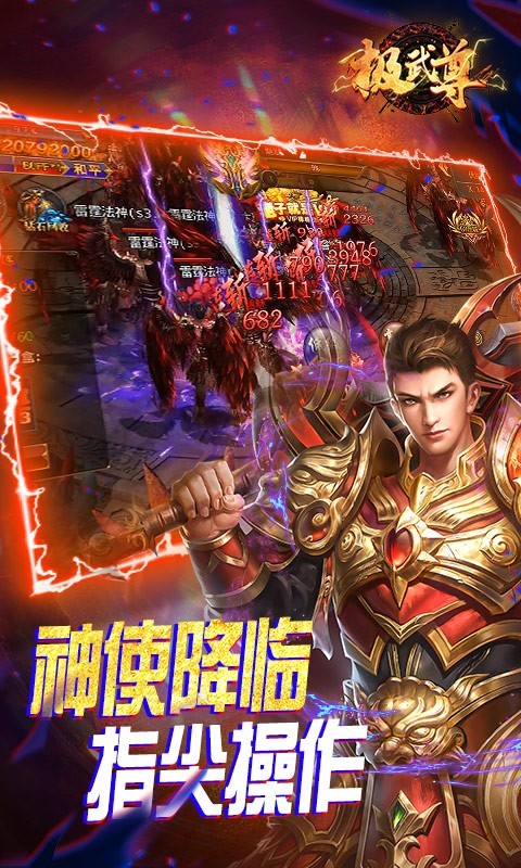 极武尊金装正版截图3