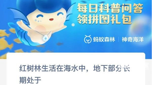 红树林生活在海水中地下部分长期处于什么