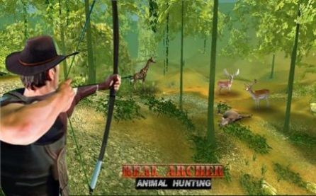 真正的弓箭手动物狩猎截图2