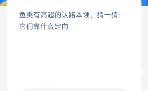 鱼类有高超的认路本领猜一猜它们靠什么定向