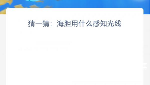 神奇海洋今日答案12.28是什么
