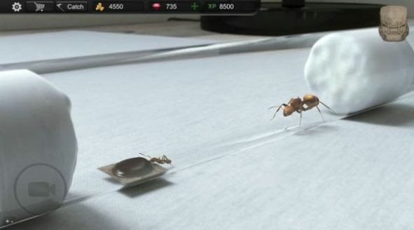 蚂蚁模拟大亨汉化版截图2