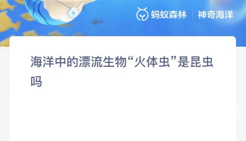 海洋中的漂流生物火体虫是昆虫吗