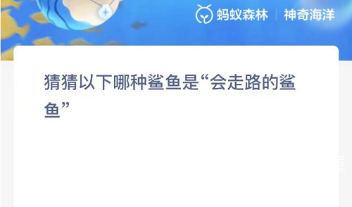 猜猜以下哪种鲨鱼是会走路的鲨鱼