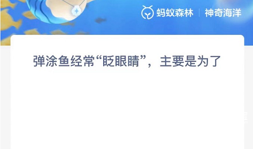 弹涂鱼经常眨眼睛主要是为了什么