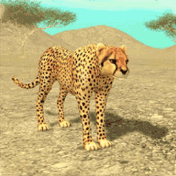荒野猎豹模拟器