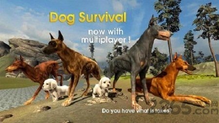 狗狗模拟器2截图1