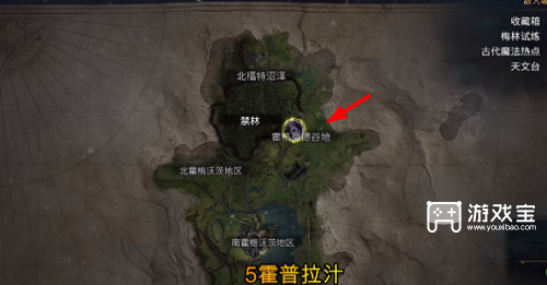 霍格沃茨之遗霍克拉普汁在哪里