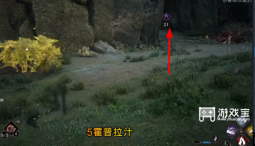 霍格沃茨之遗霍克拉普汁在哪里