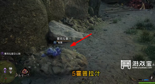 霍格沃茨之遗霍克拉普汁在哪里