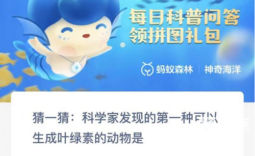 科学家发现的第一种可以生成叶绿素的动物是哪个
