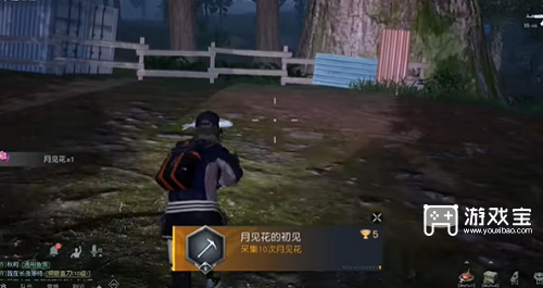 黎明觉醒生机月见花哪里采